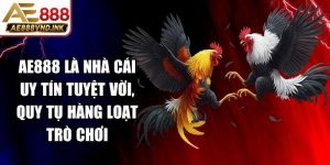 Gà Thomo Còn Đá Không